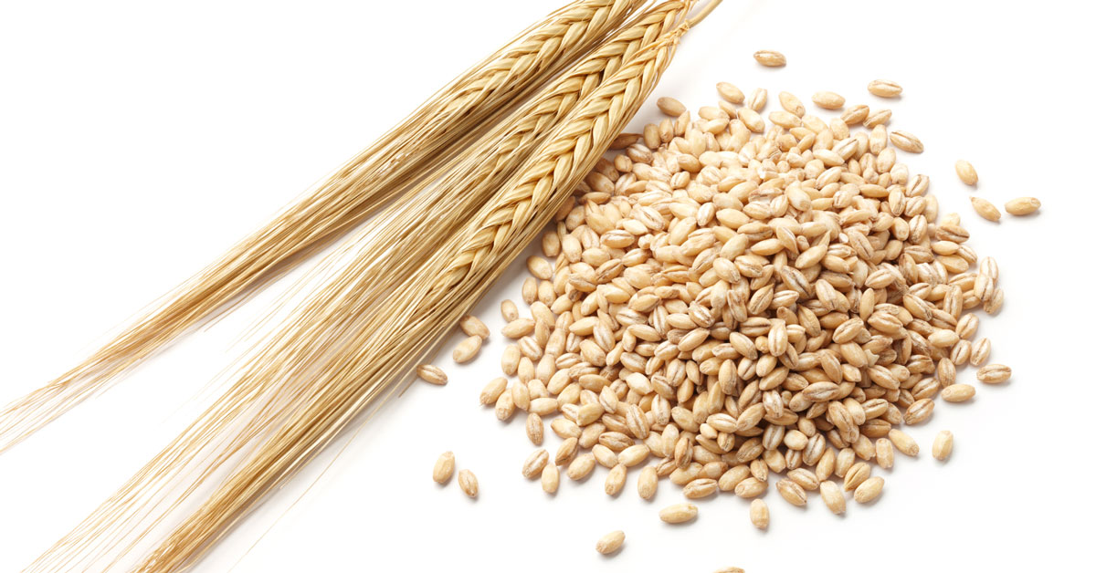 barley