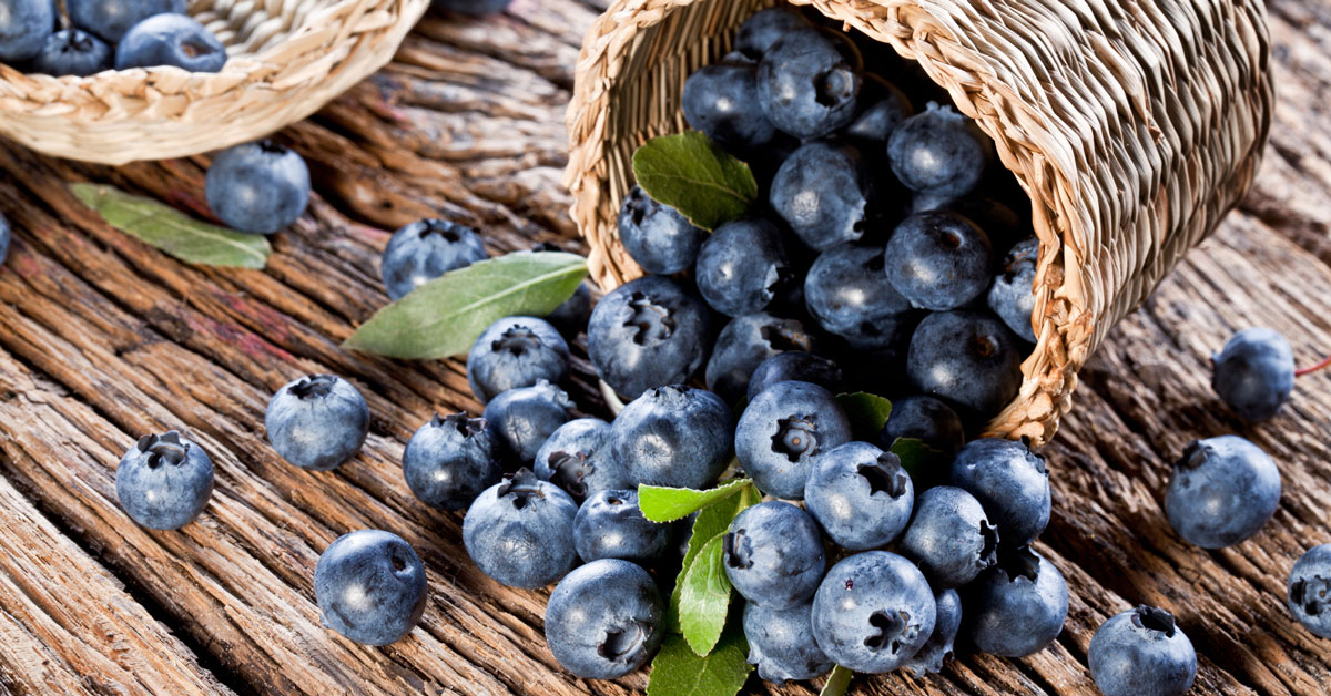 blueberry