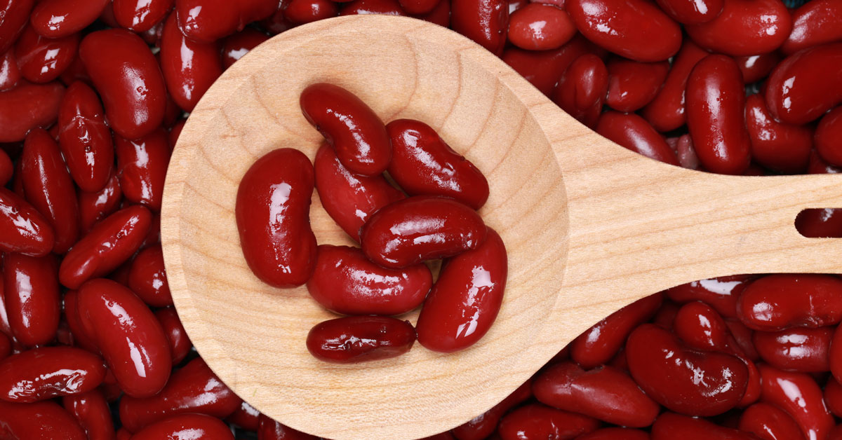 kacang merah